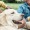 people petting a dog