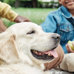 A resident and their dog sitting outside at Chorus at Asheville senior living apartments in Asheville, NC.